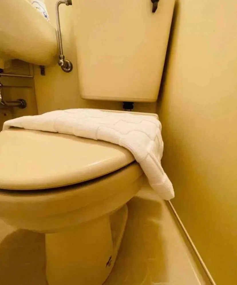 Apartment 池袋商圈，整套房源， 最近车站步行6分钟，适合商务出差旅游短住 Tokyo Japan